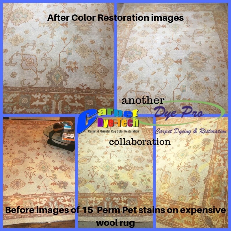 Guarantee System Carpet Cleaning Kennewick Richland Pasco Wa Guarantee Carpet Cleaning Dye Co